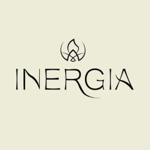Inergia experiencias