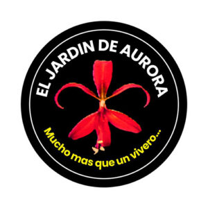 El jardin de Aurora